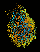Visuals | Dominguez Lab